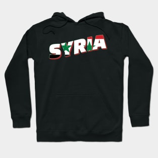 Syria Vintage style retro souvenir Hoodie